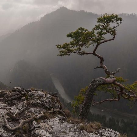 Porebowka Villa Szczawnica Esterno foto